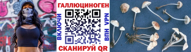 Псилоцибиновые грибы Magic Shrooms  Заволжье 