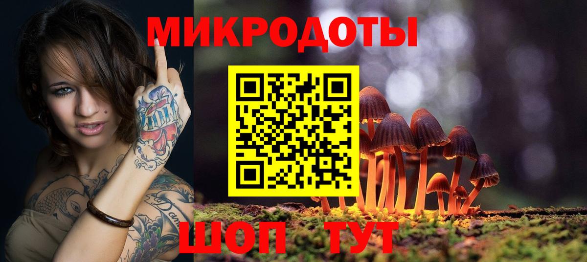 Псилоцибиновые грибы GOLDEN TEACHER  купить закладку  Заволжье 