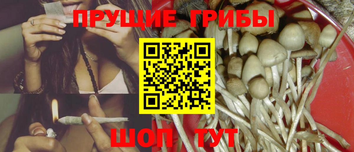 Псилоцибиновые грибы Magic Shrooms  Галлюциногенные грибы Cubensis  Вход с VPN  Заволжье 