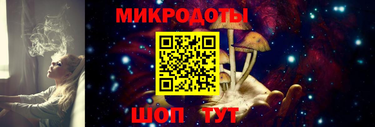 Галлюциногенные грибы мицелий Заволжье