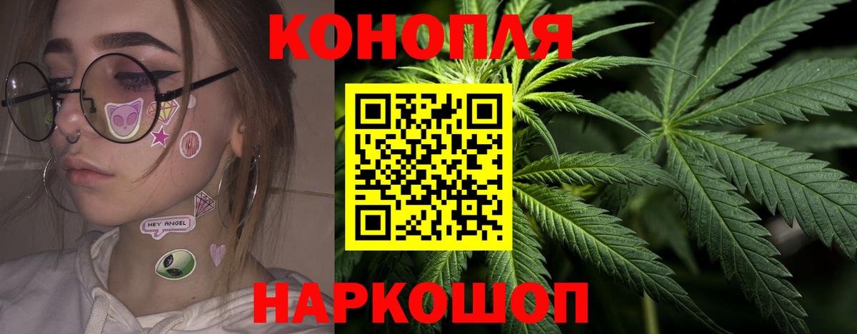 Марихуана сатива Заволжье